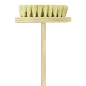Cepillo de Ixte para Impermeabilizar